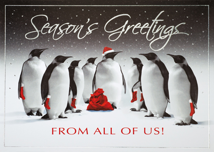 Penguin Christmas Cards